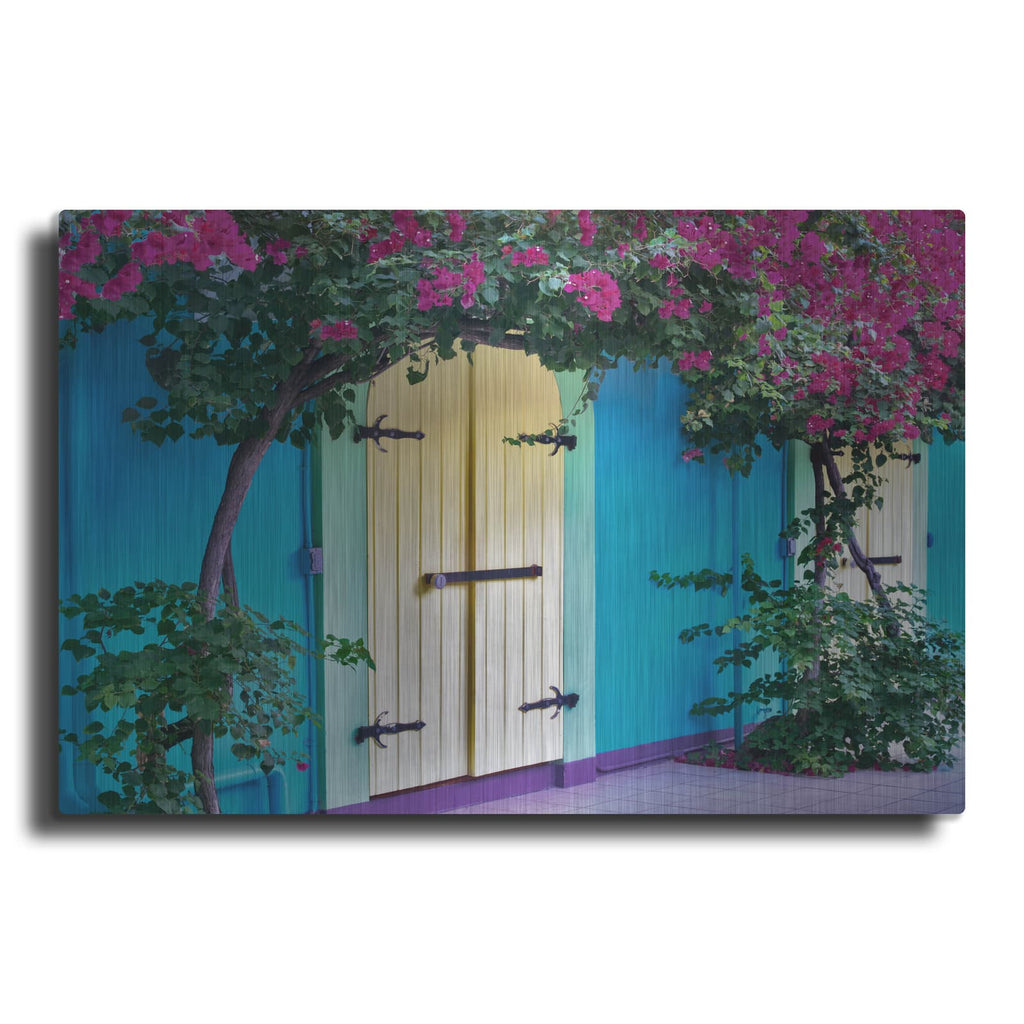 'Double Doors' by Dennis Frates – Metal Wall Art
