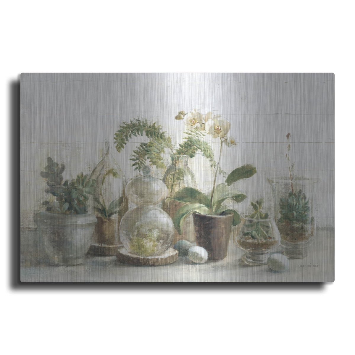 'Greenhouse Orchids On Shiplap' by Danhui Nai – Metal Wall Art