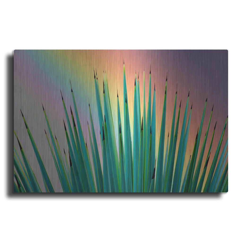'Prism Plant' by Dennis Frates – Metal Wall Art