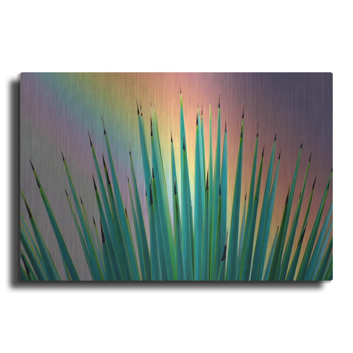 'Prism Plant' by Dennis Frates – Metal Wall Art