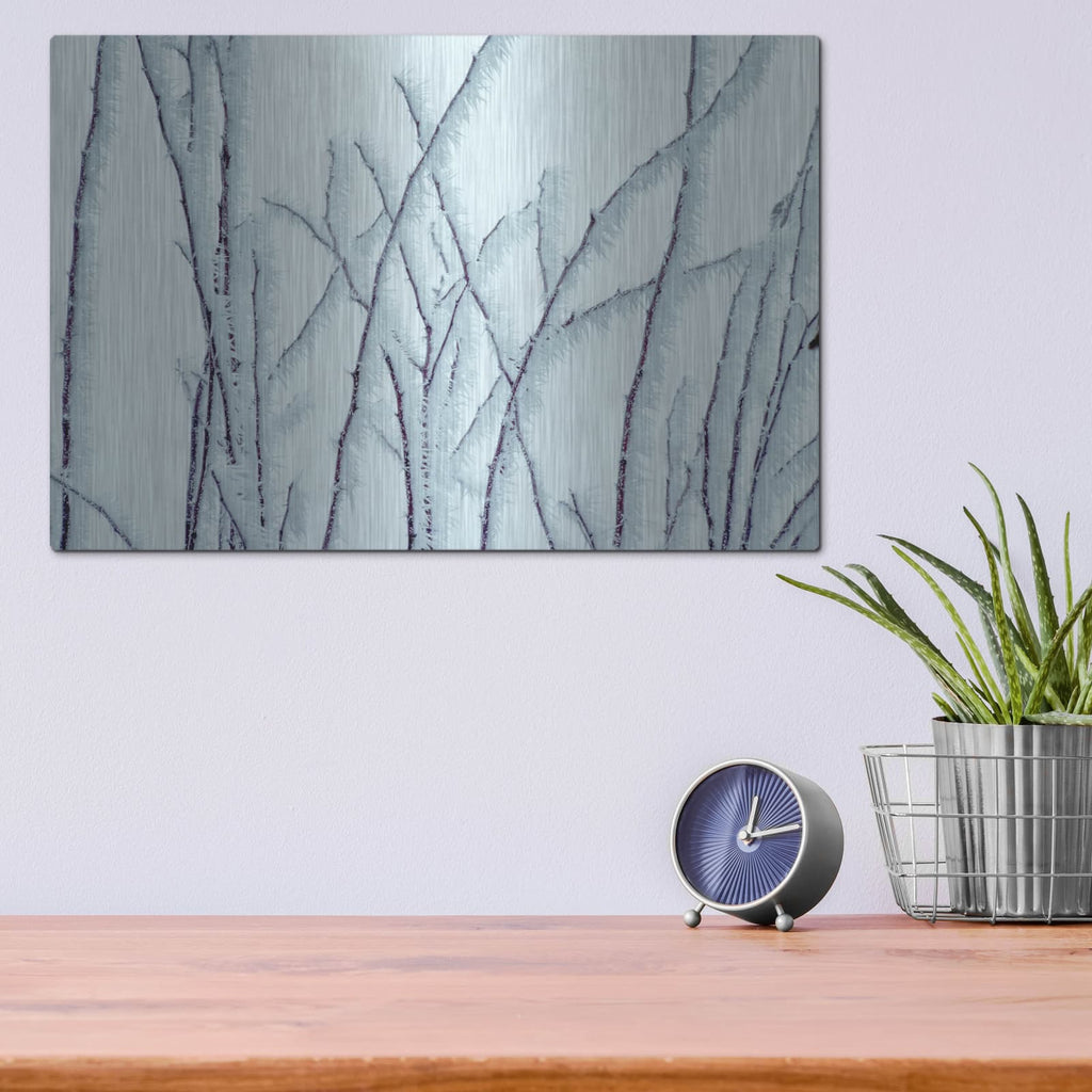 'Icy' by Dennis Frates – Metal Wall Art, 16x12 room view