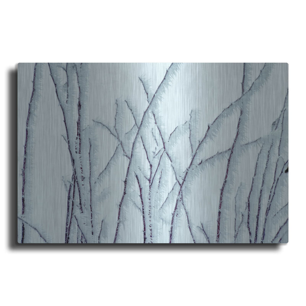 'Icy' by Dennis Frates – Metal Wall Art