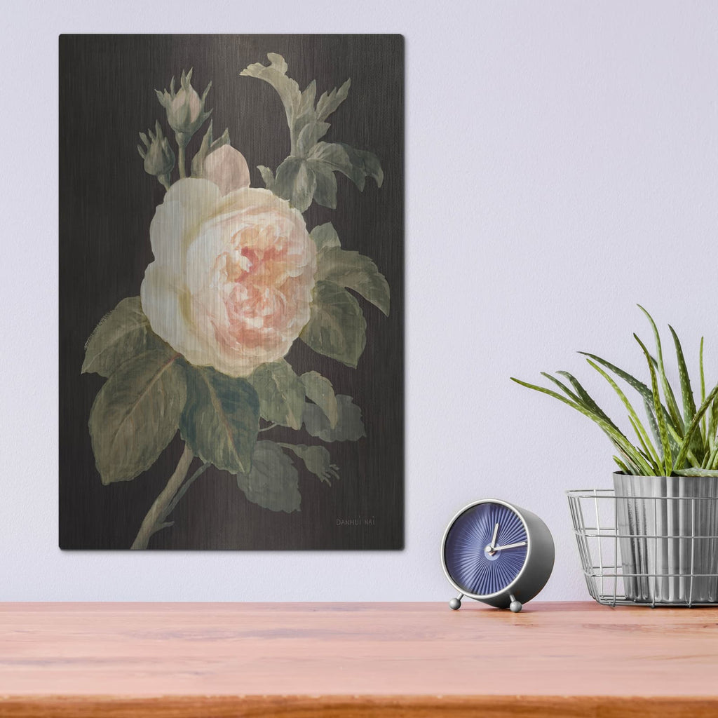 'Heirloom Pink Rose On Black' by Danhui Nai – Metal Wall Art, 12x16 room view