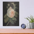 'Heirloom Pink Rose On Black' by Danhui Nai – Metal Wall Art, 12x16 room view