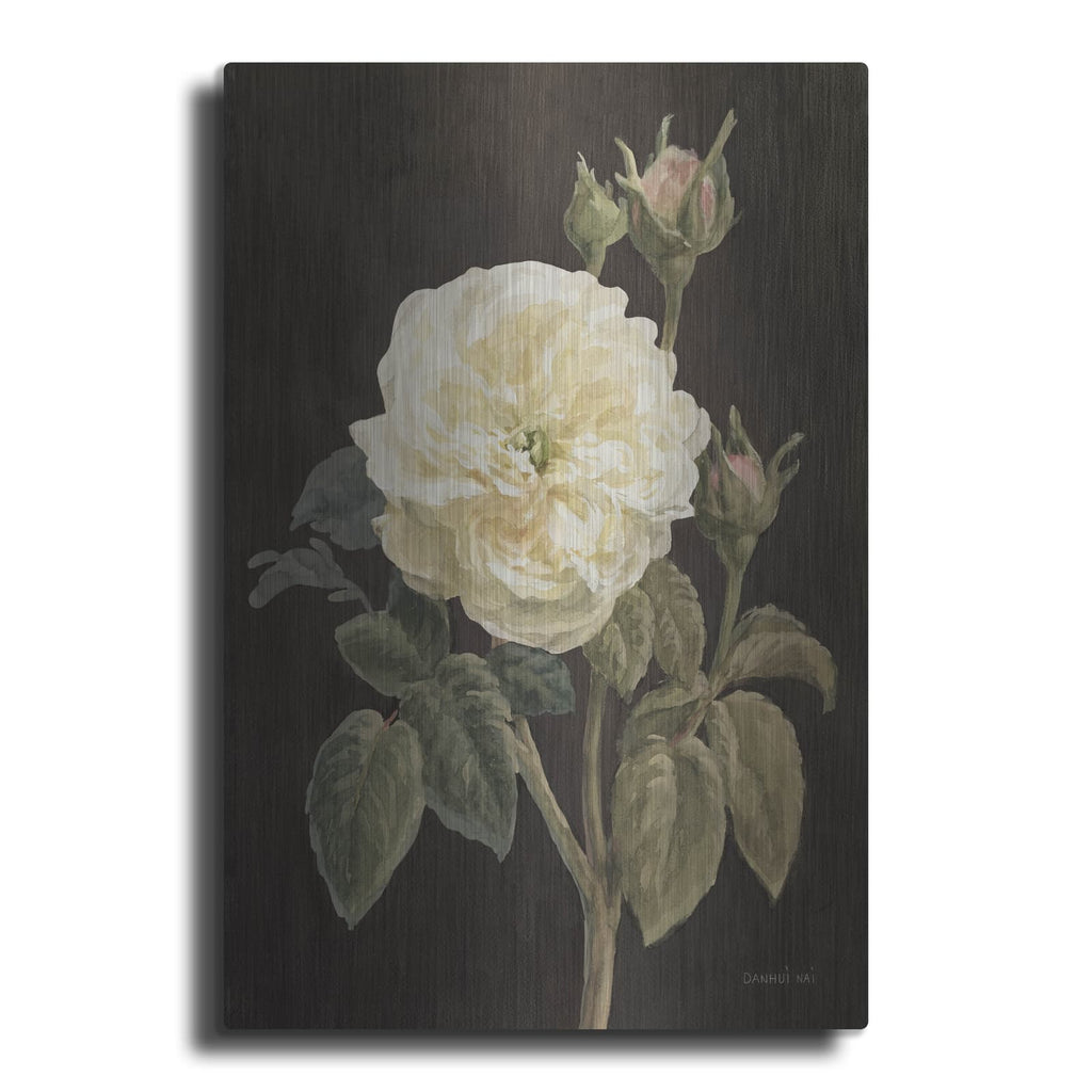 'Heirloom White Rose On Black' by Danhui Nai – Metal Wall Art