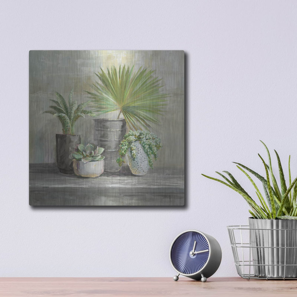 'Indoor Garden Gray' by Danhui Nai – Metal Wall Art, 12x12 room view