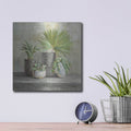 'Indoor Garden Gray' by Danhui Nai – Metal Wall Art, 12x12 room view