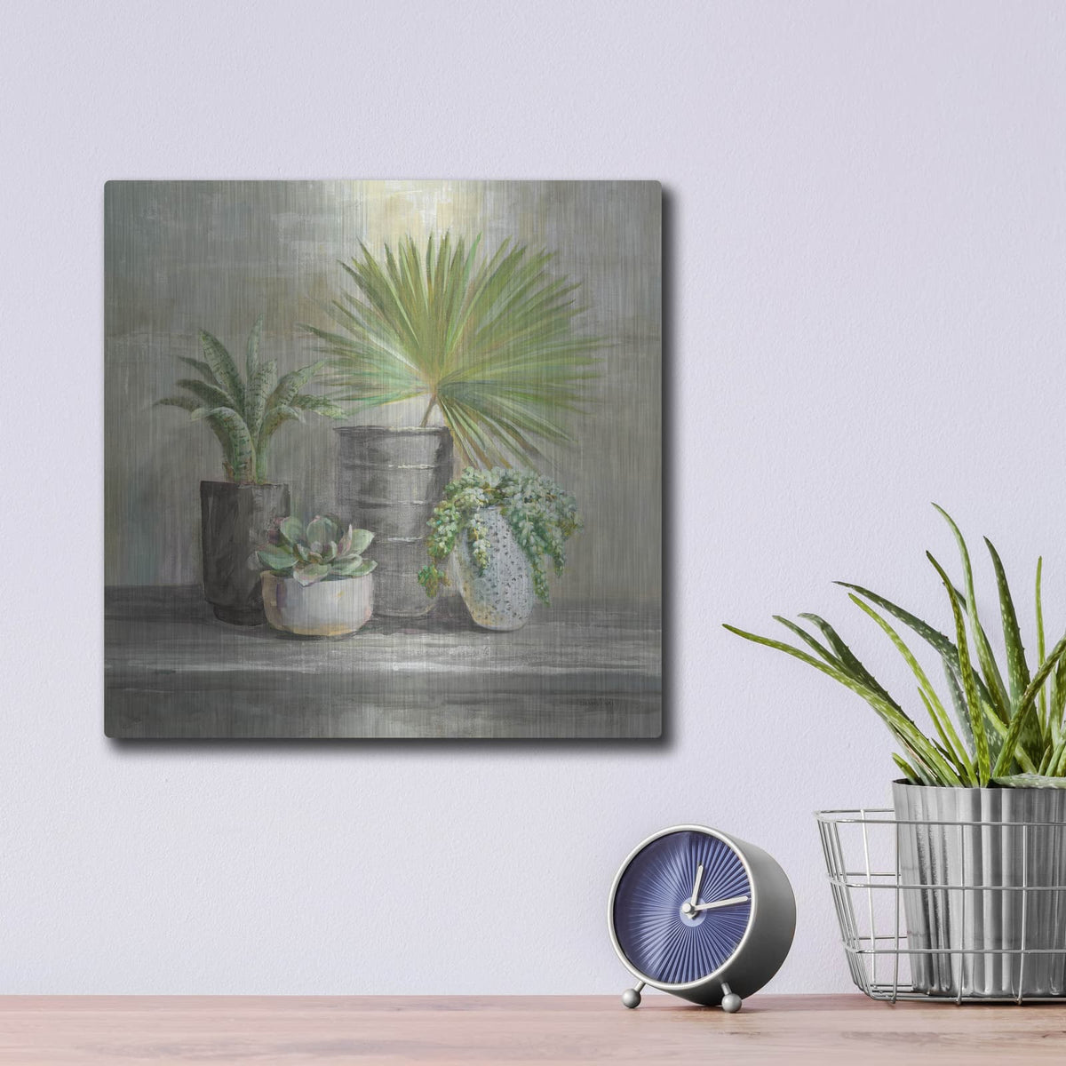 'Indoor Garden Gray' by Danhui Nai – Metal Wall Art, 12x12 room view