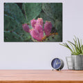 'Pink Cactus' by Dennis Frates – Metal Wall Art, 16x12 room view