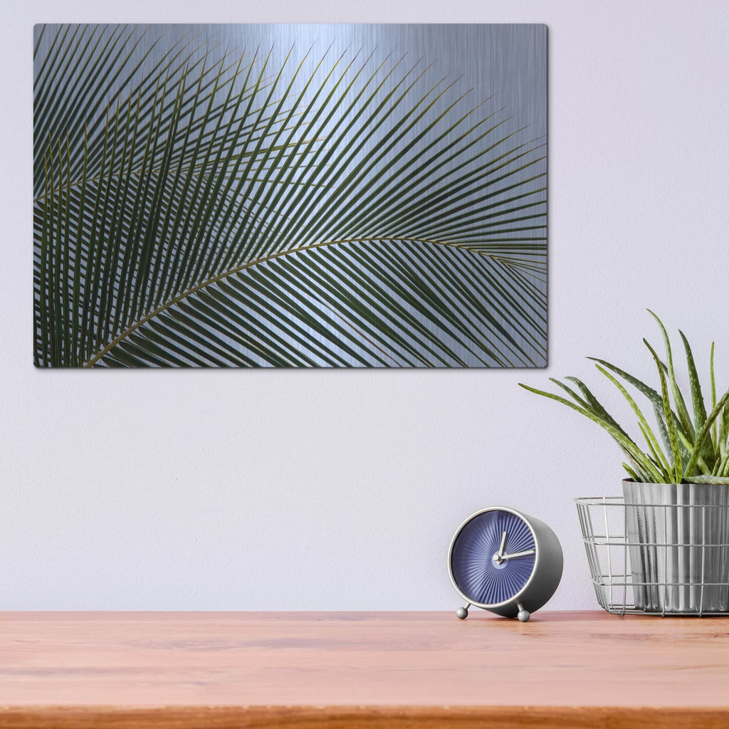 'Tropical' by Dennis Frates – Metal Wall Art, 16x12 room view