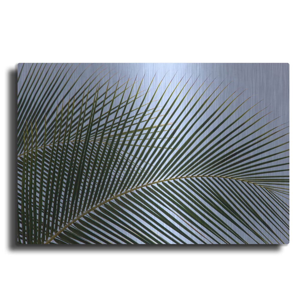 'Tropical' by Dennis Frates – Metal Wall Art