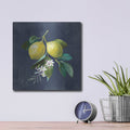 'Lemon Branches 1' by Danhui Nai – Metal Wall Art, 12x12 room view