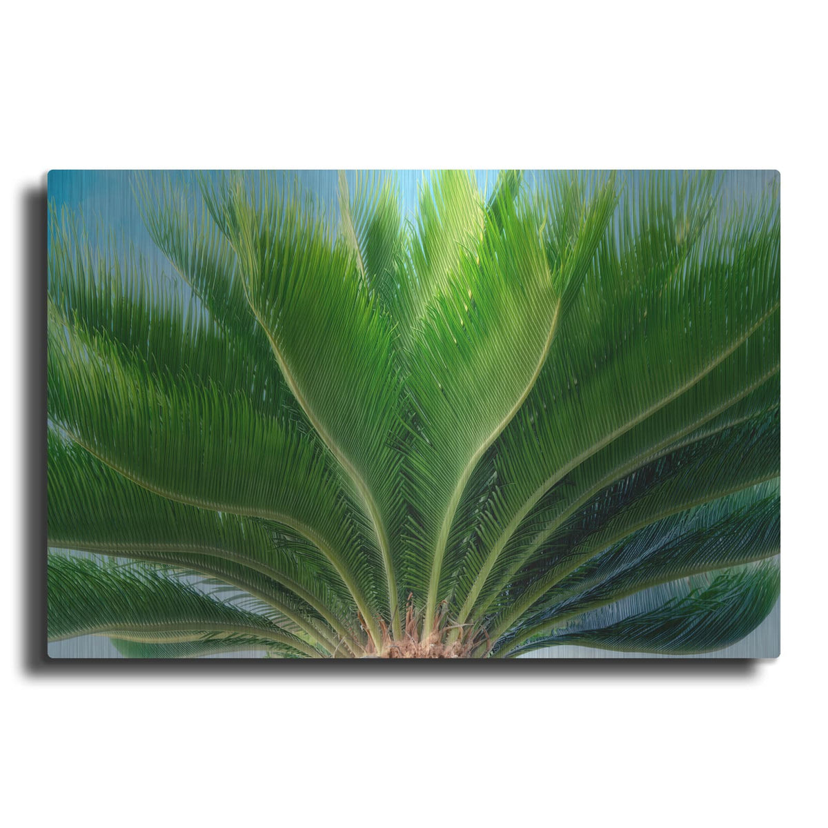 'Tropical III' by Dennis Frates – Metal Wall Art