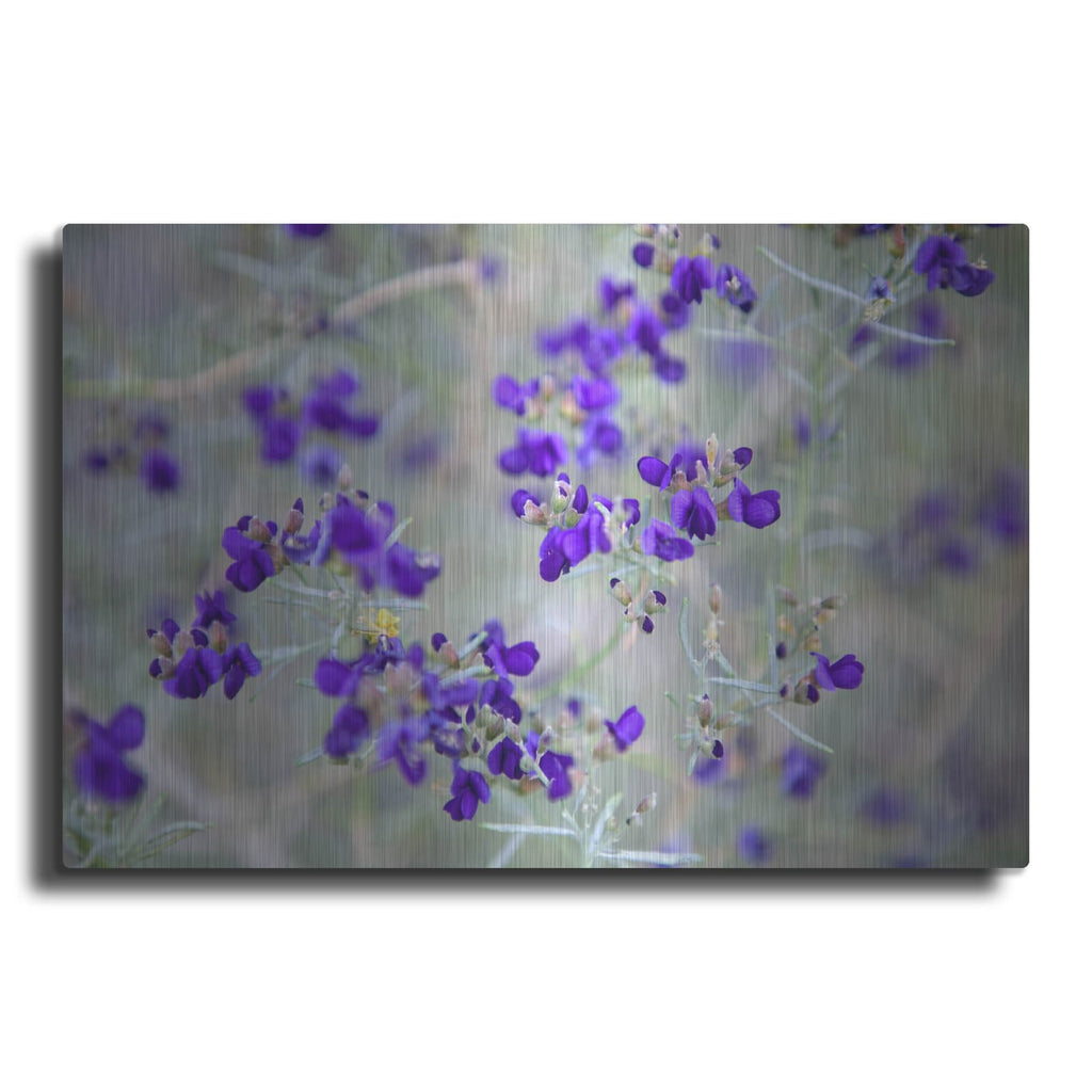 'Purple Flowers' by Dennis Frates – Metal Wall Art