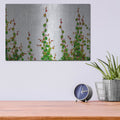 'Vine' by Dennis Frates – Metal Wall Art, 16x12 room view