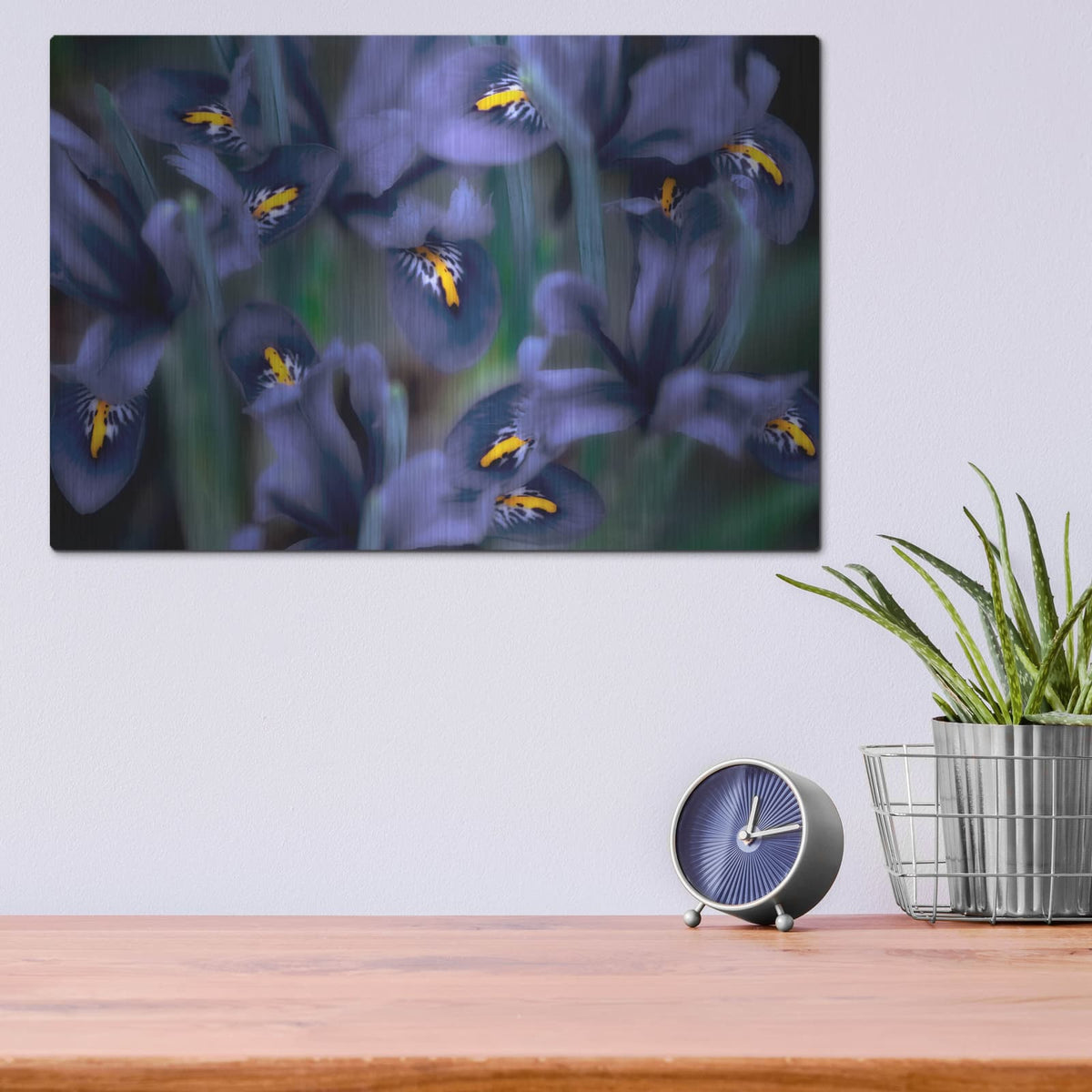 'Irises' by Dennis Frates – Metal Wall Art, 16x12 room view