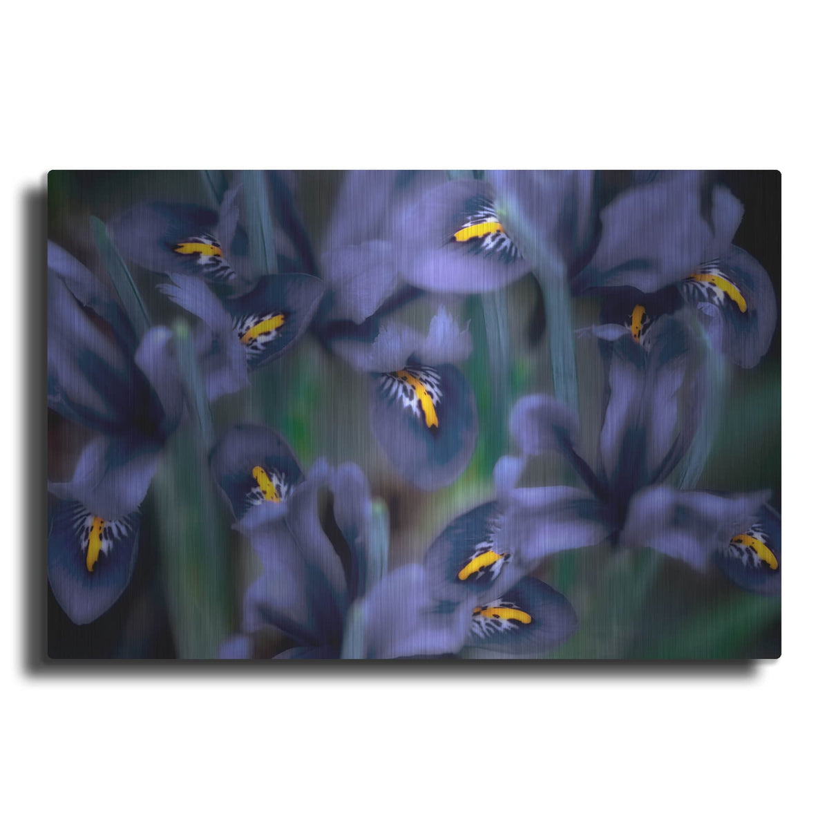 'Irises' by Dennis Frates – Metal Wall Art