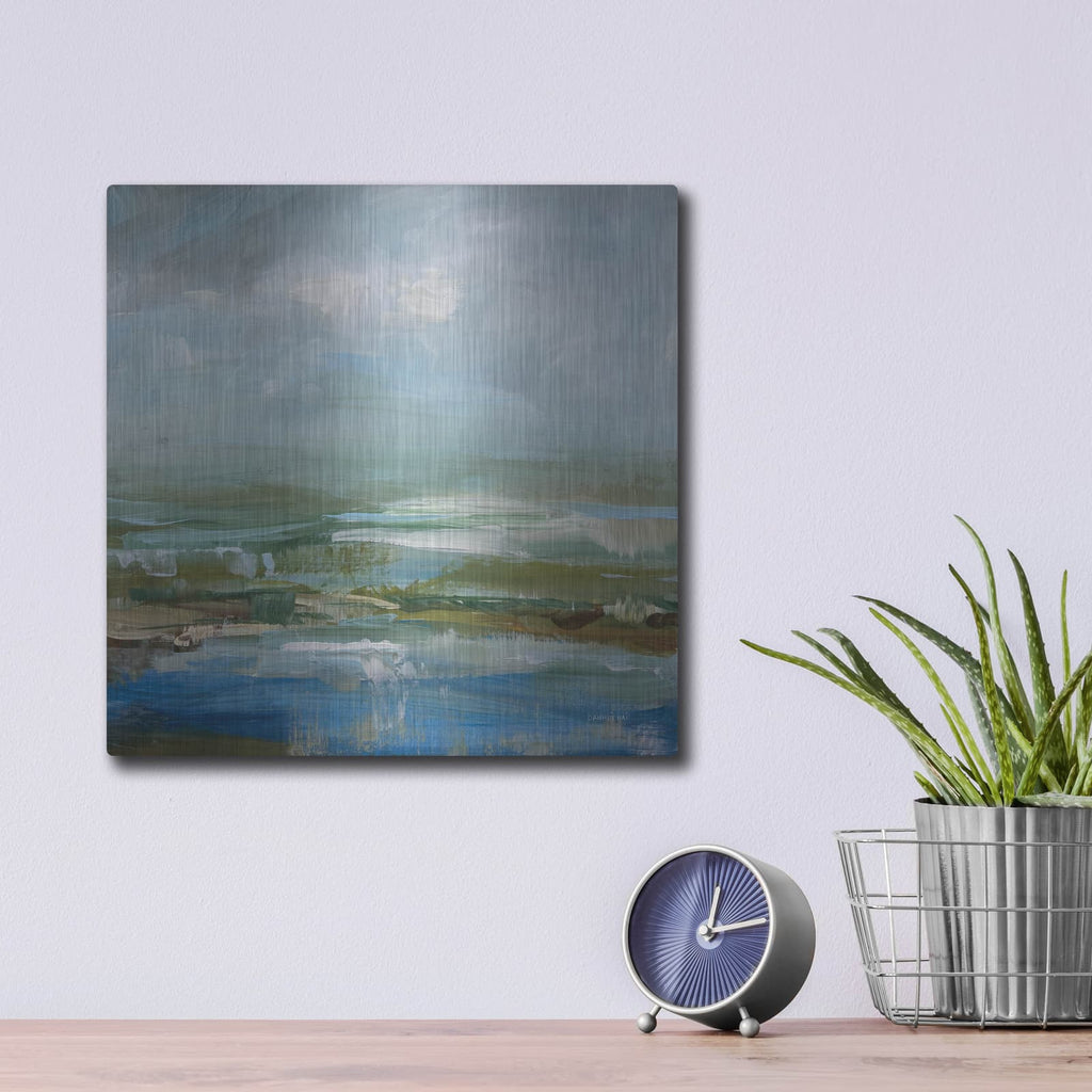 'Lush Valley' by Danhui Nai – Metal Wall Art, 12x12 room view