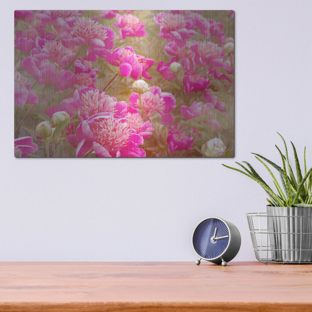 'Pinks' by Dennis Frates – Metal Wall Art, 16x12 room view