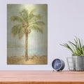 'Mirage Palm 2' by Danhui Nai – Metal Wall Art, 12x16 room view