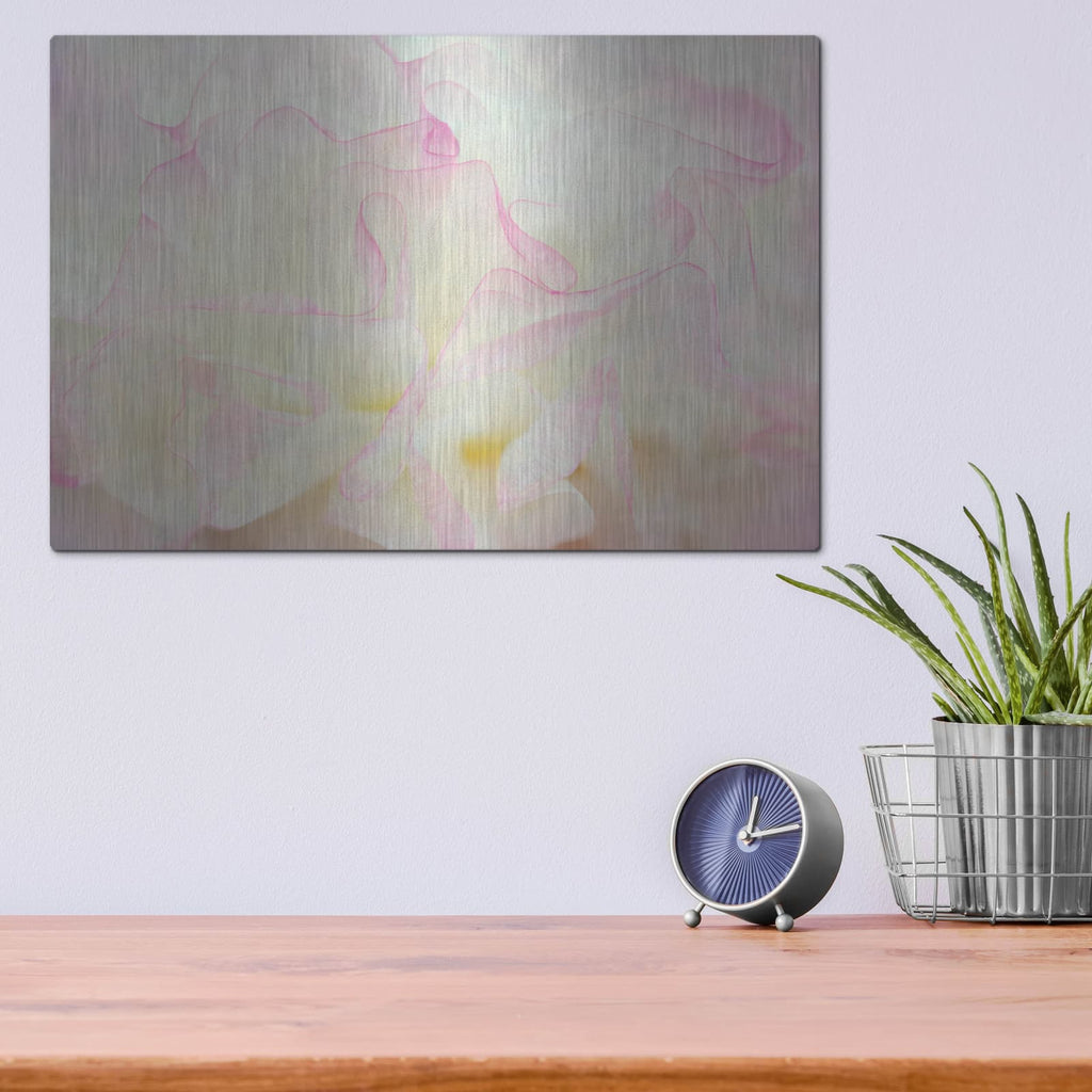 'Blush' by Dennis Frates – Metal Wall Art, 16x12 room view