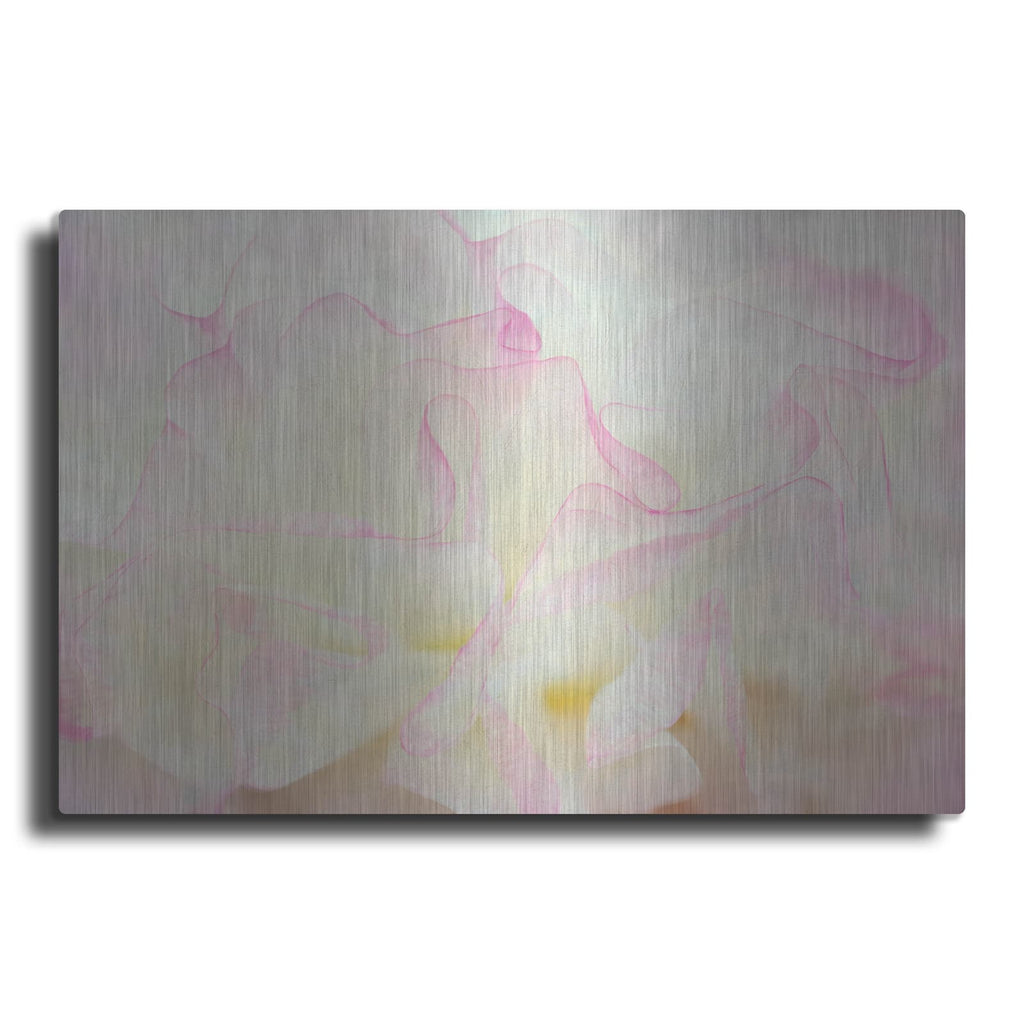 'Blush' by Dennis Frates – Metal Wall Art