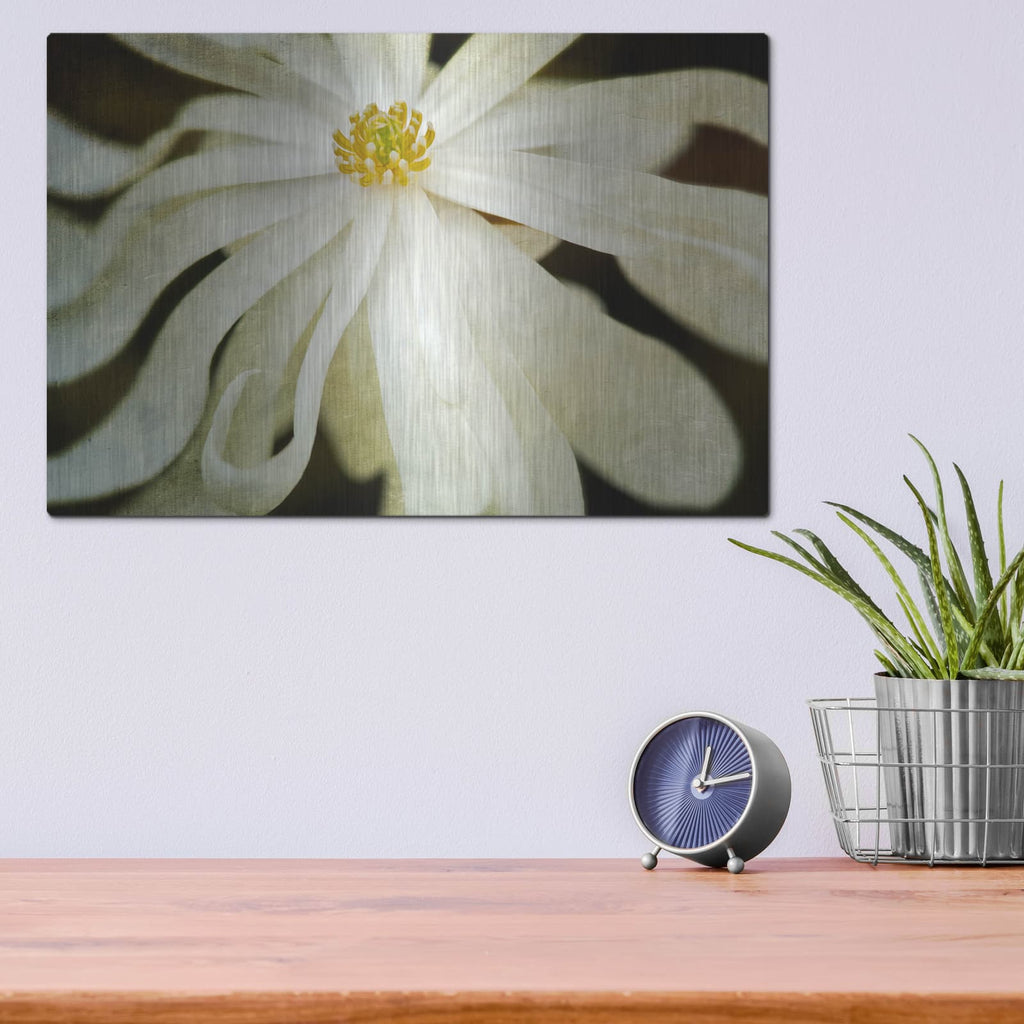 'White Flower' by Dennis Frates – Metal Wall Art, 16x12 room view