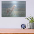 'Mountain Mare Landscape' by Danhui Nai – Metal Wall Art, 16x12 room view