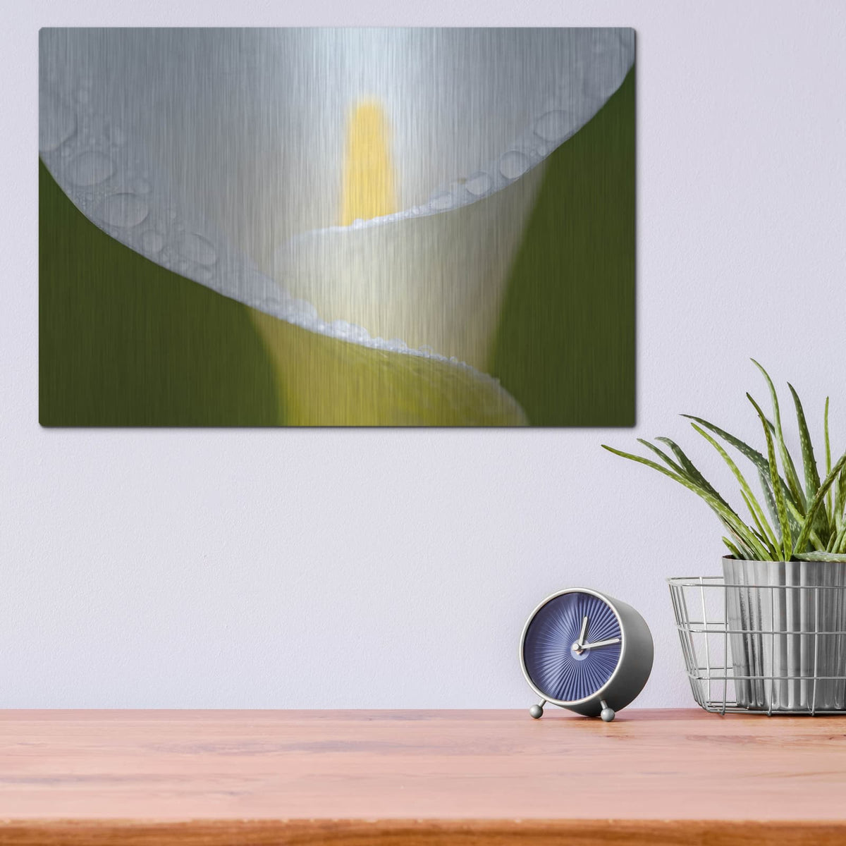'White Flower II' by Dennis Frates – Metal Wall Art, 16x12 room view
