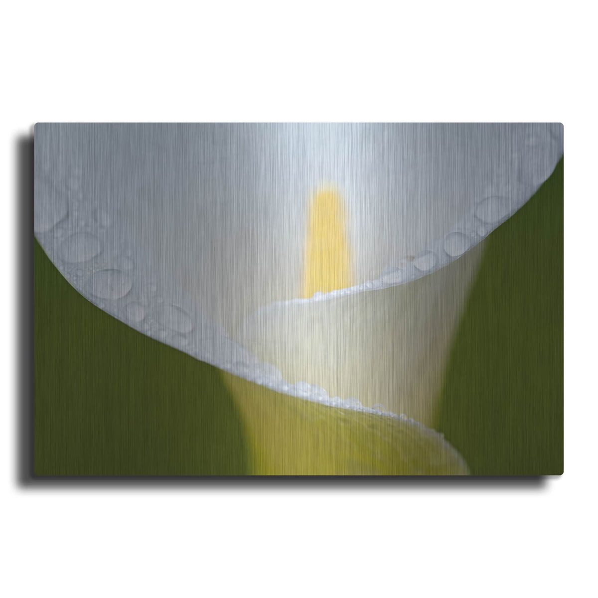 'White Flower II' by Dennis Frates – Metal Wall Art