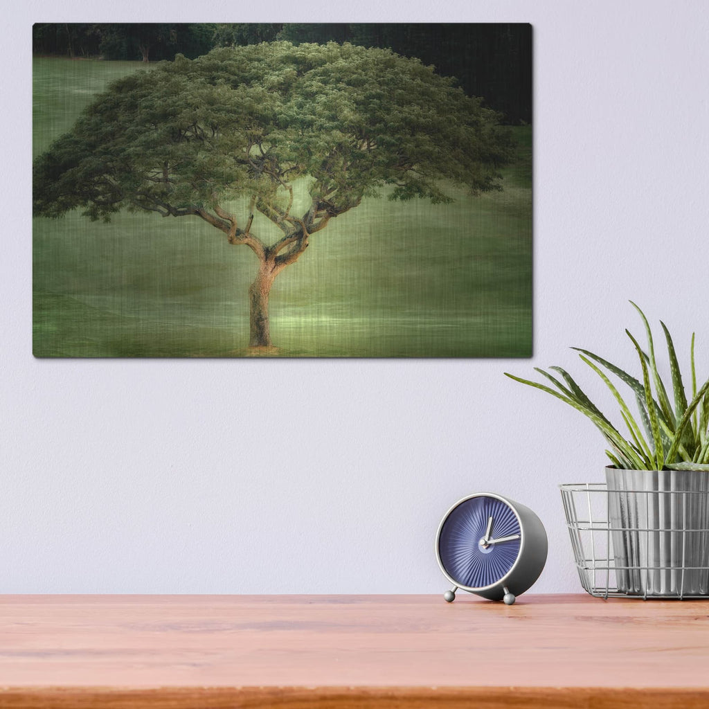 'Single Tree' by Dennis Frates – Metal Wall Art, 16x12 room view