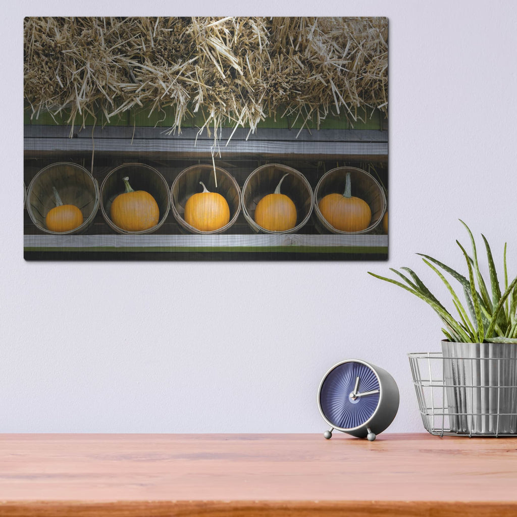 'More Pumpkins' by Dennis Frates – Metal Wall Art, 16x12 room view