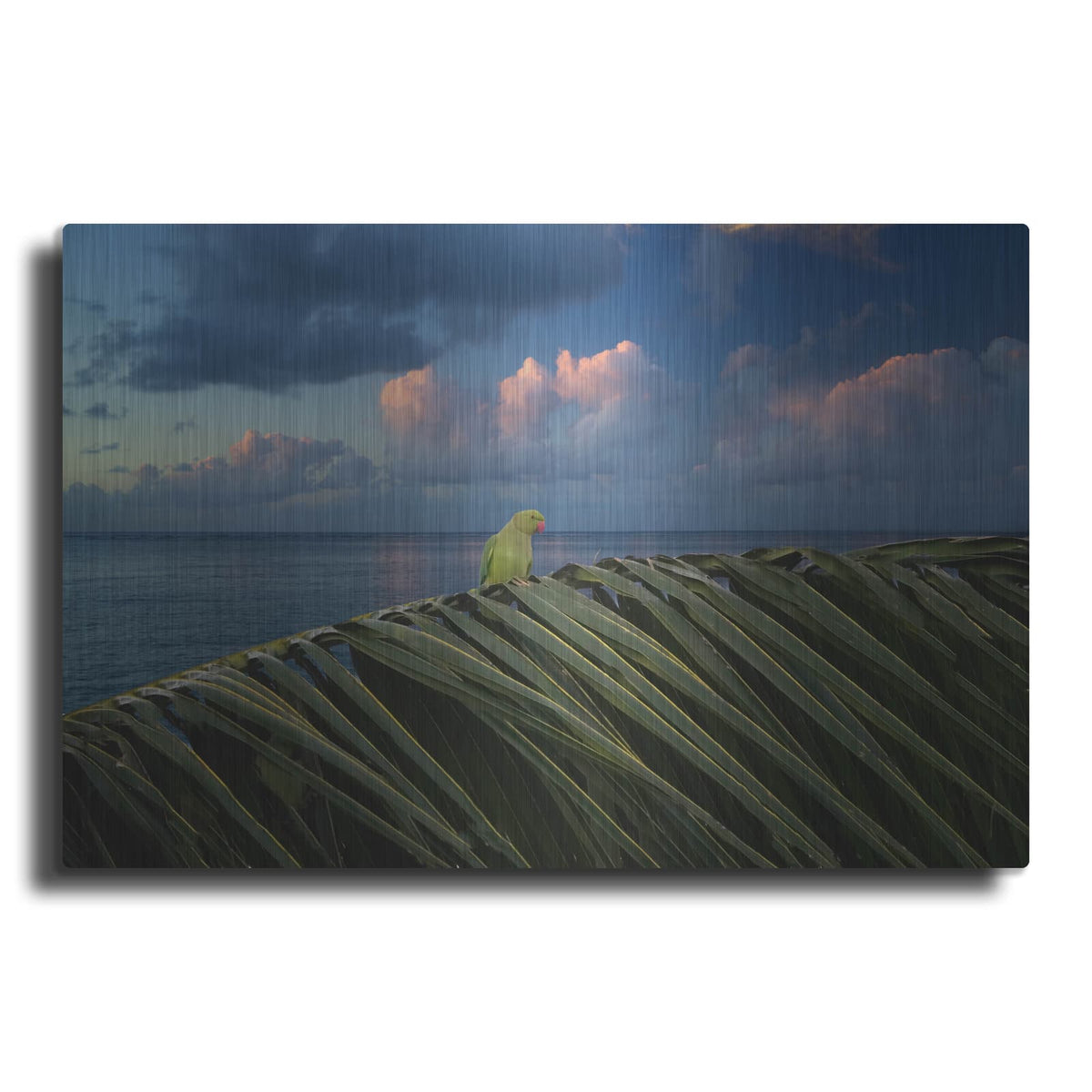 'Paulie' by Dennis Frates – Metal Wall Art