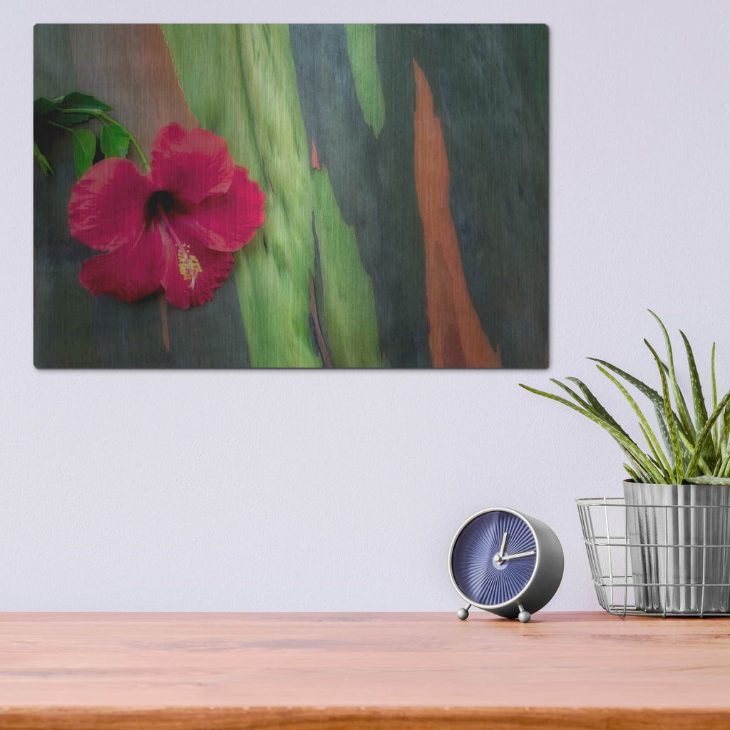 'Hibiscus' by Dennis Frates – Metal Wall Art, 16x12 room view
