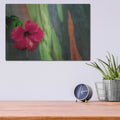 'Hibiscus' by Dennis Frates – Metal Wall Art, 16x12 room view