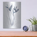 'Paradise 1 Blue' by Danhui Nai – Metal Wall Art, 12x16 room view