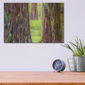 'Trunk Club' by Dennis Frates – Metal Wall Art, 16x12 room view