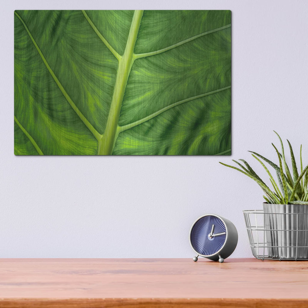 'Leaf Details' by Dennis Frates – Metal Wall Art, 16x12 room view