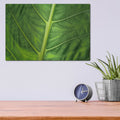 'Leaf Details' by Dennis Frates – Metal Wall Art, 16x12 room view