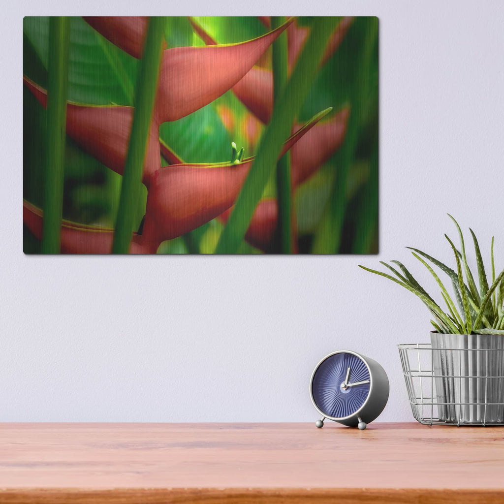 'Floral Details' by Dennis Frates – Metal Wall Art, 16x12 room view