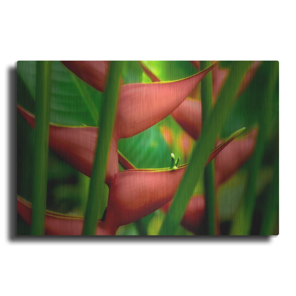 'Floral Details' by Dennis Frates – Metal Wall Art