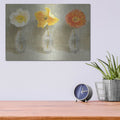 'Poppy Palette C' by Danhui Nai – Metal Wall Art, 16x12 room view