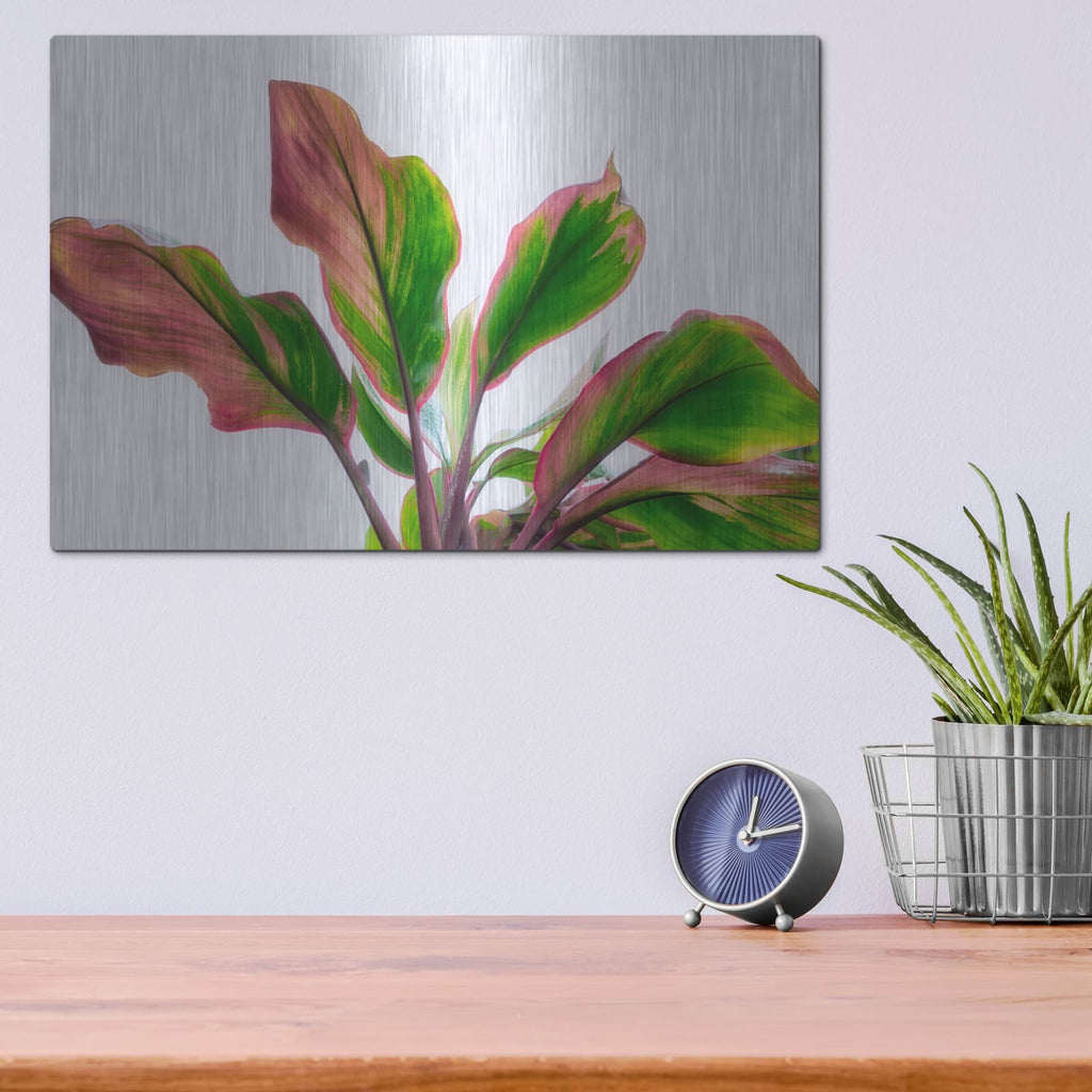 'Botanical' by Dennis Frates – Metal Wall Art, 16x12 room view