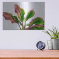 'Botanical' by Dennis Frates – Metal Wall Art, 16x12 room view