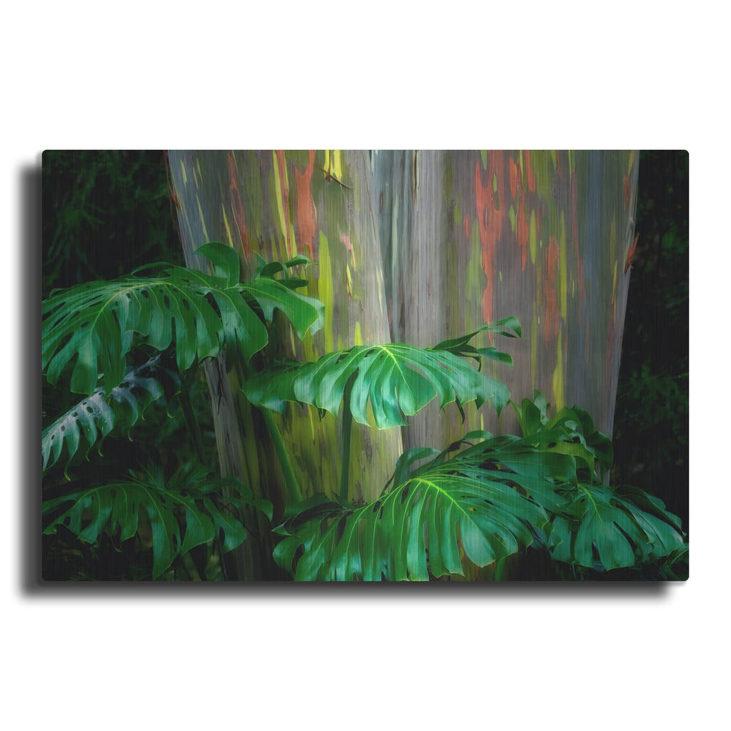 'Tropical Leaves' by Dennis Frates – Metal Wall Art
