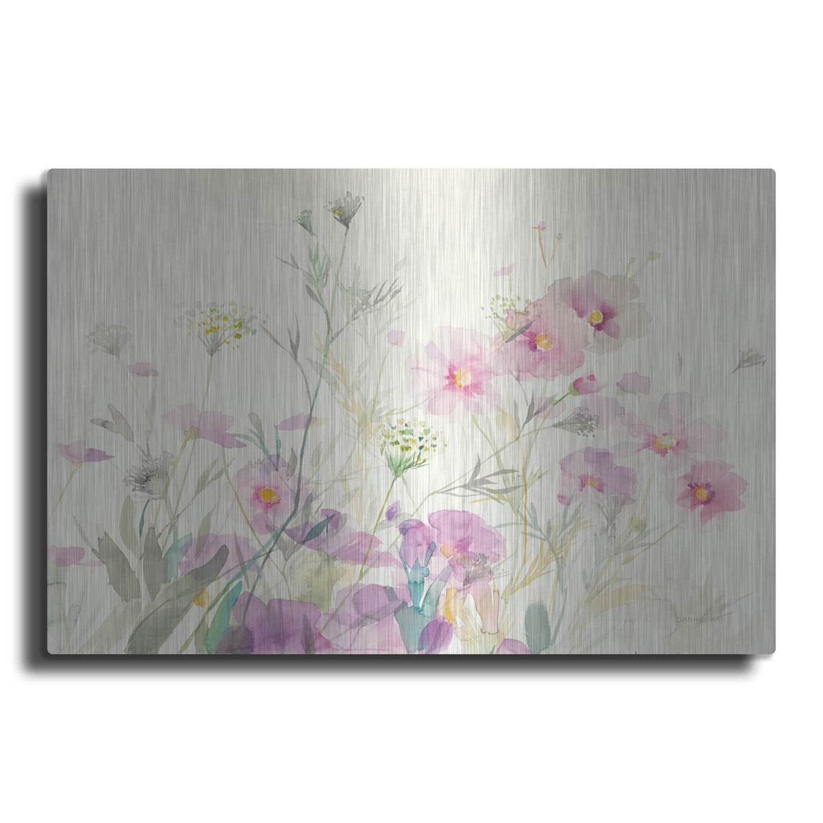 'Queen Annes Lace And Cosmos' by Danhui Nai – Metal Wall Art