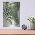 'Retro Big Leaf 2 Reversed Green' by Danhui Nai – Metal Wall Art, 12x16 room view