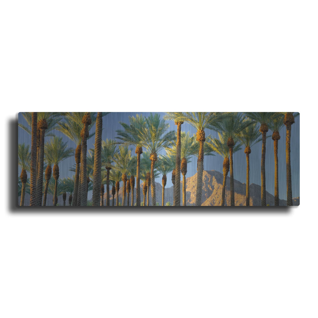 'Trees' by Dennis Frates – Metal Wall Art