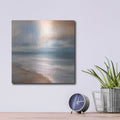 'Sea Flight' by Danhui Nai – Metal Wall Art, 12x12 room view