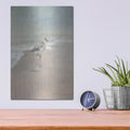 'Shorebirds On The Sand 2' by Danhui Nai – Metal Wall Art, 12x16 room view